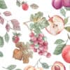 surface pattern design with fruits file